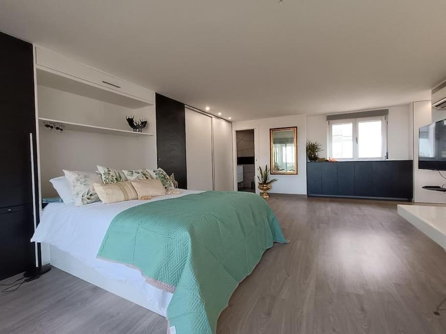 Spacious Studio By The University San Vicente Raspeig ภายนอก รูปภาพ